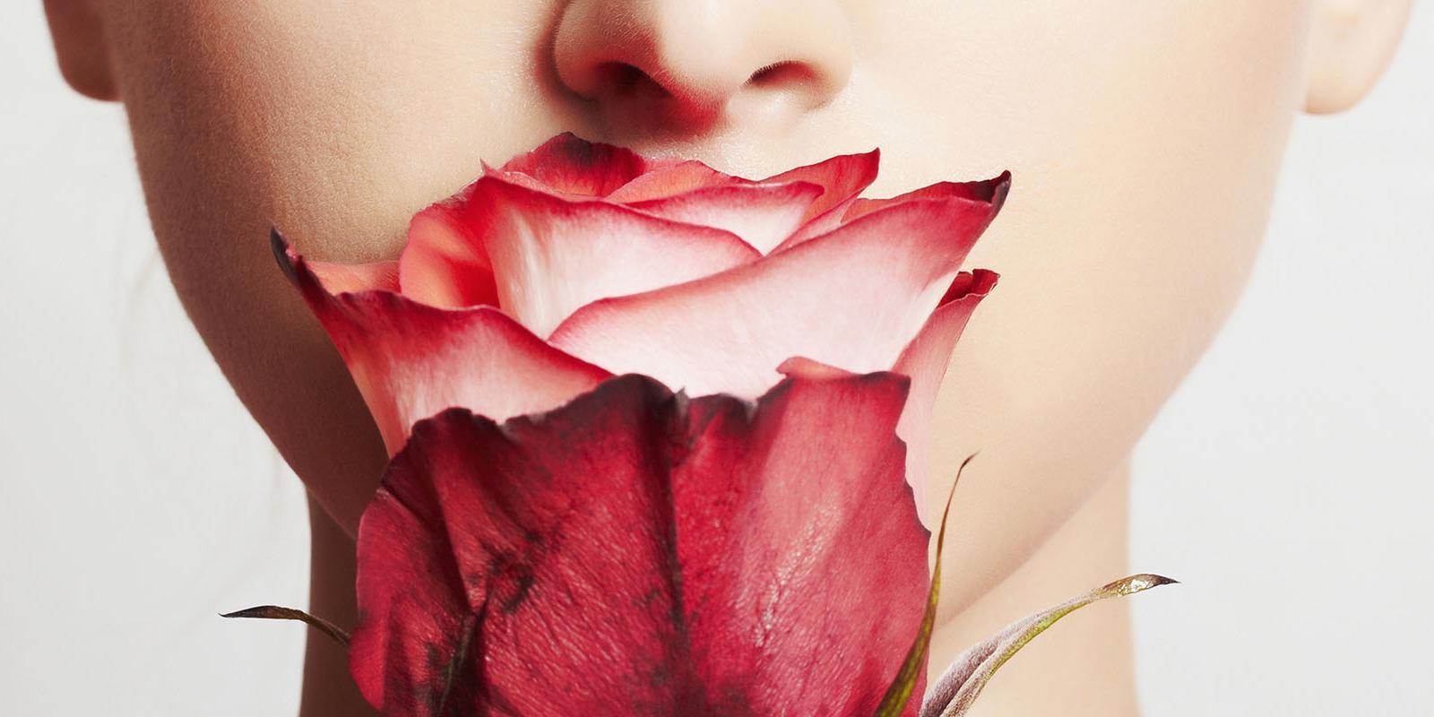 How to keep roses alive?
